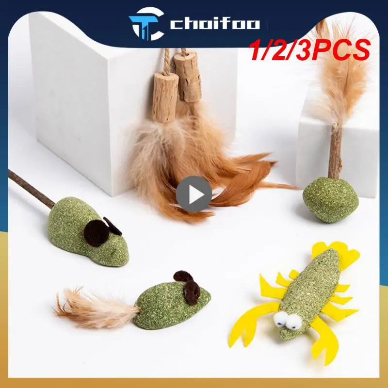 1/2/3ks catnip mačka trávna žuvačka na odstránenie vlasovej gule Molar Rod myš kuracie perie Perie Perie Perie Kat