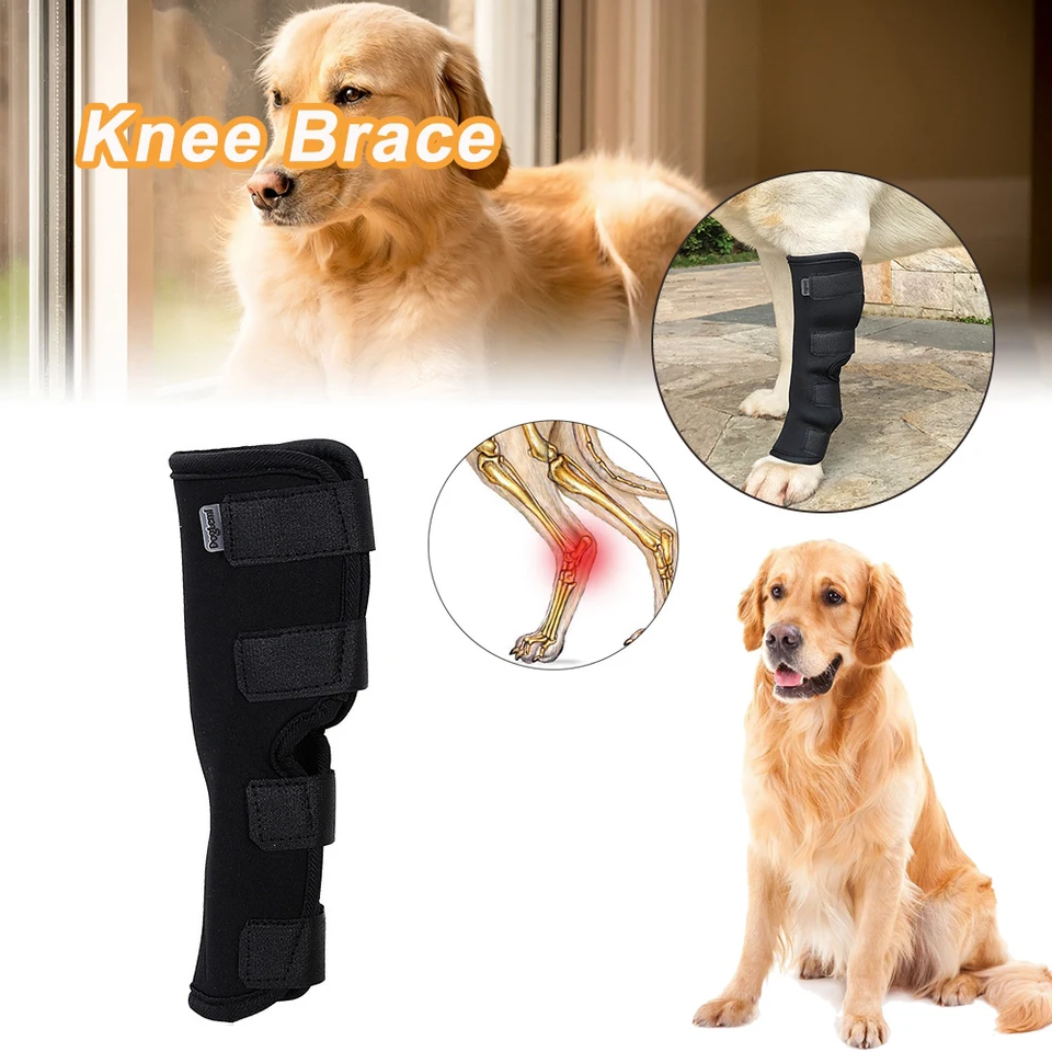 1 ks poranenie Zranenie ochrancu psov pre psie chrániče psov podporu psov Brace Puppy Knepad Dog Supplies Dog Wrist Guard