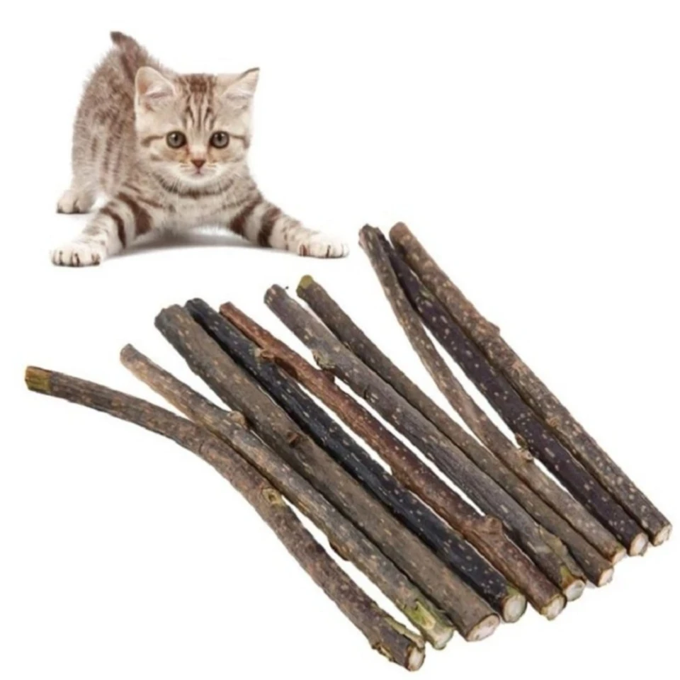 10/20 // 100ks catnip hračky mačky mačky Pet Pets Pets Pets Zaujímavé veci dodávky tovaru Hračky príslušenstvo Všetky mincovne mačky záhradné mačky