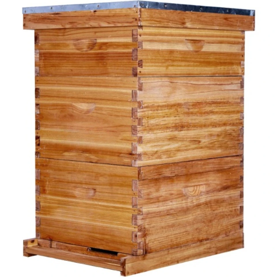 10 Frame Bee Hive potiahnutý včelárskym voskom obsahuje voskové rámy a voskové základy (2 hlboké škatule a 1 stredná skrinka)