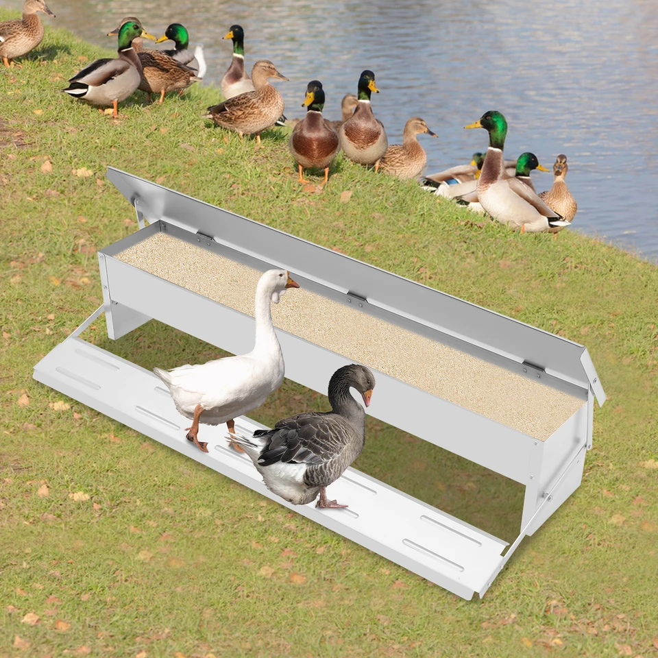 10 kg automatické kuracie kŕmne holub Pigeon Kuracie kačacie nosič holub