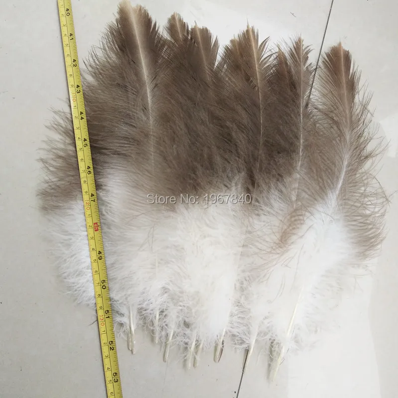 10 kusov / veľa krásneho prírodného peria jastrabov 30-35 cm / 12-14 palcov krásne perie