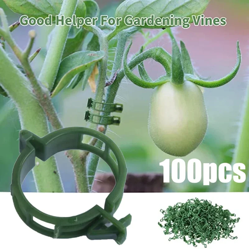 100 počítačov/ podpora rastlín Plastové kravaty Plastové kravaty Trellis Klips Garden Veggie Tomato Greenhouse Držiteľ záhradných nástrojov Záhradné náradie //