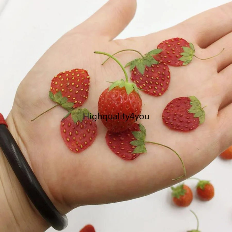 100ks sušené lisované mini ovocné jahodové plátky Plant Plant Herbarium pre šperky s fotografickým rámom Puzdro na záložku Pohľadnica DIY