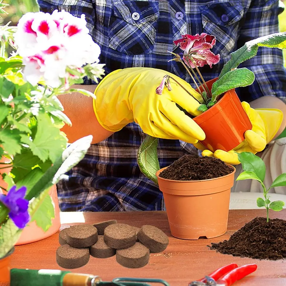 10ks Coco Coir Pelety Organická zalievacia pôda na výsadbu komprimovaného kokosového kokosového kokosového kokosového semien Štartér kvetov pre kvety