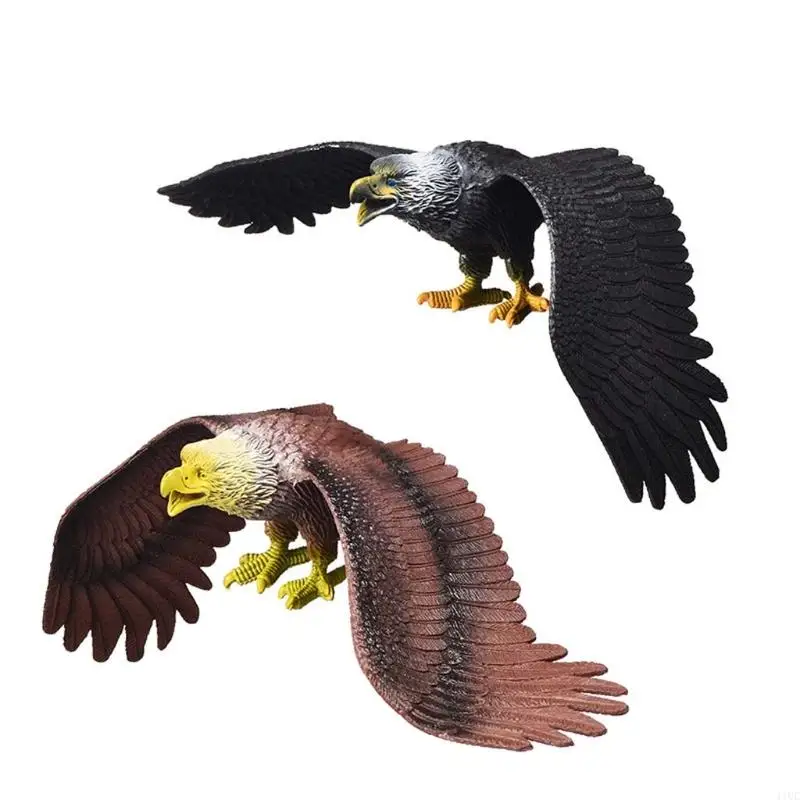 11Uc Solid Static Bird Figure Model zvierat dospievajúci biológia hračky Ozdob
