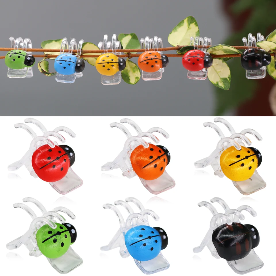 12/22ks Ladybug Orchid Clips Clips Záhradná rastlina Podporná svorka Clamping Flowing Fixer Fixer Farebný 5-pazúr Ladybird Bonsai Dekorácie