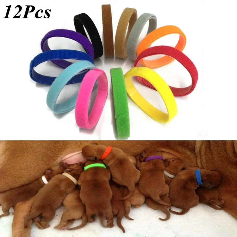 12 ks/set novorodencov Pet Collar