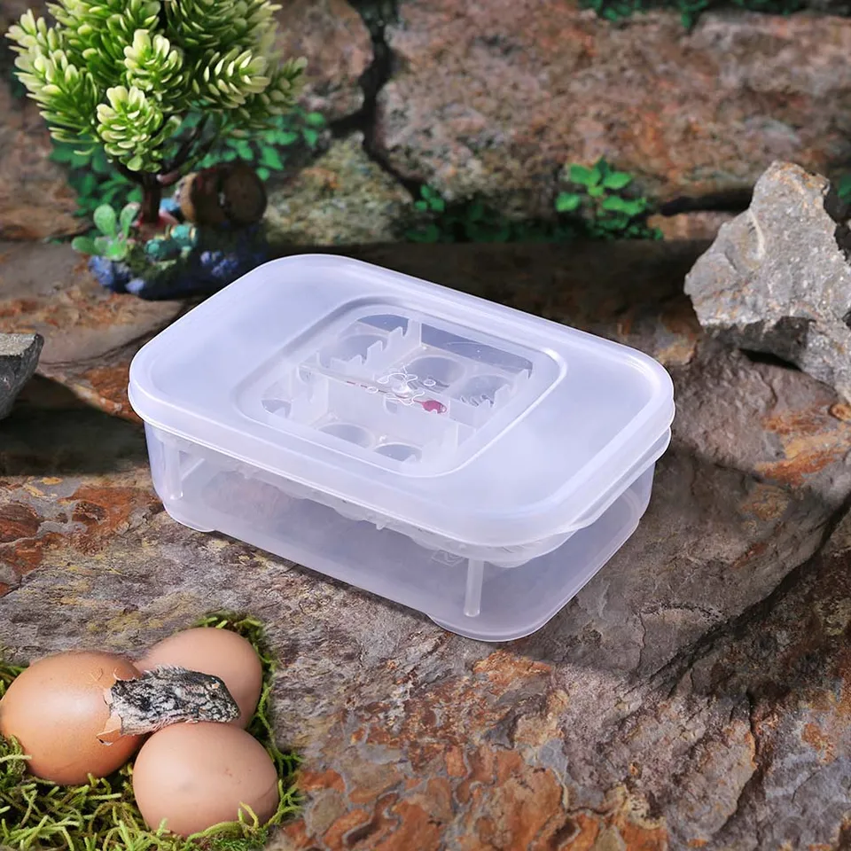 12 mriežky Reptile E-EGG Inkubation Inkubation Tray Tray Gecko Lizard Snake Eggs Inkubation Inckubačný hmyz udržiavať skrinku inkubátor podnosového šľachtenia nástroja
