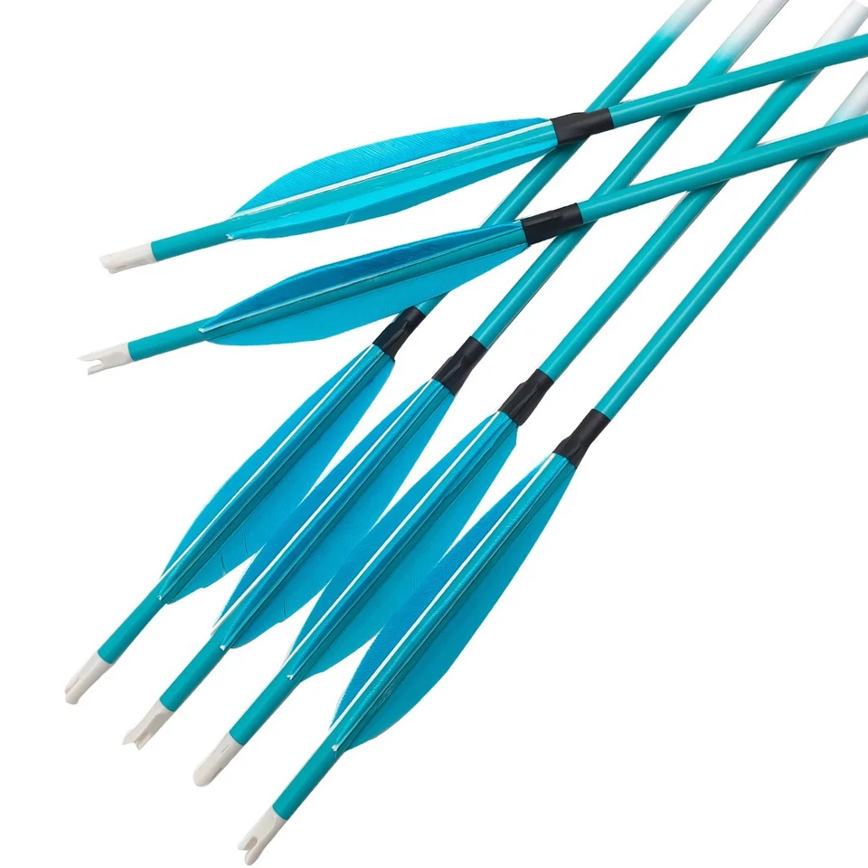 12ks Linkboy Archery Blue Pure Carbon Arrows ID