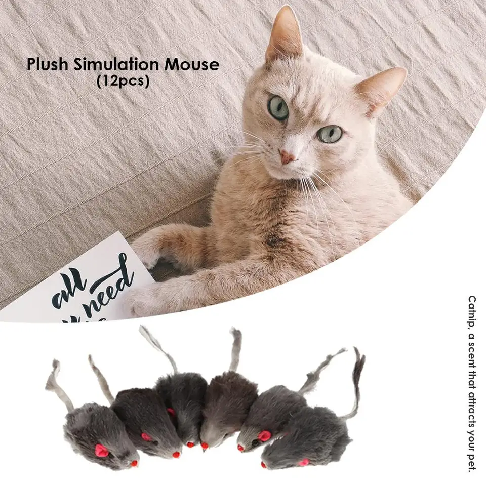 12ks Pet Cats Mouse Toy Ekologické pre potkany Interaktívne hračky netoxické Catmint Lightweight Soft Training Game Mačky