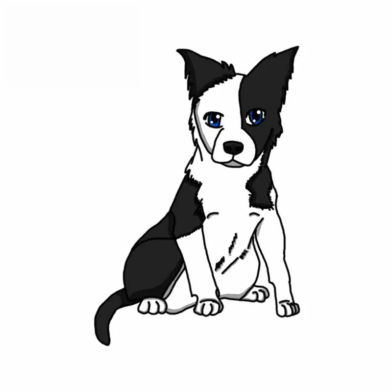 13 cm*8cm Border Collie Collie Sticker Decoration DecoRotes Decal Laptop Kurice Motorycle Automatické príslušenstvo PVC, KK