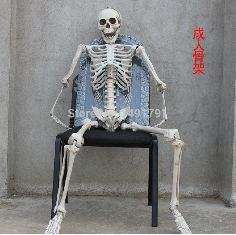 165 cm Terror Halloween rekvizity Haunted House Room Escape Artificial Human Skeetons Model Rám Tomb Raiding Dospelé lebky kostí