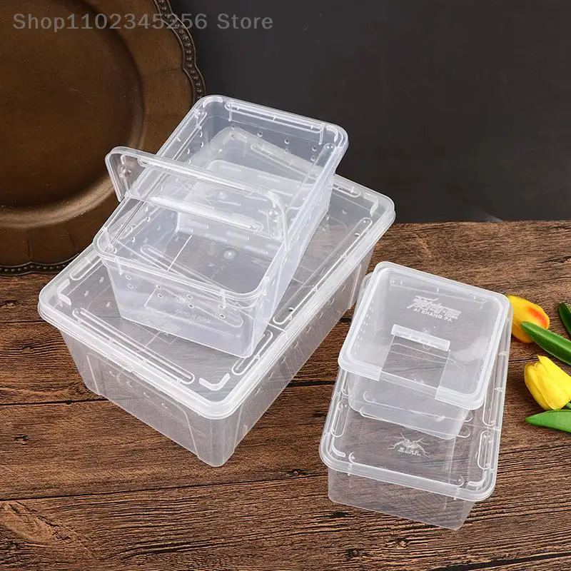 1PC Clear Transparent Reptile Spider Chov kŕmenie kŕmnej skrinky Hmyz liahne nádoby pre žaby