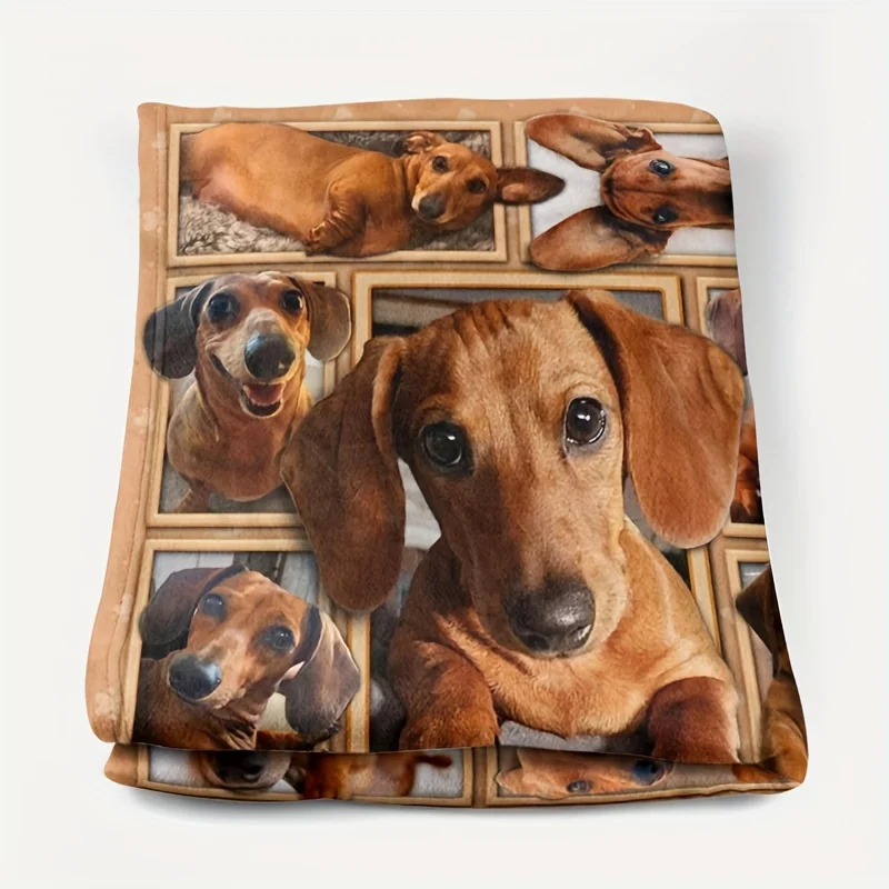 1pc Cozy Jacshund Dog Hrot Druba - super mäkká, ľahká, teplá a plyšová flanelová prikrývka pre pohovku, posteľ a obývaciu izbu