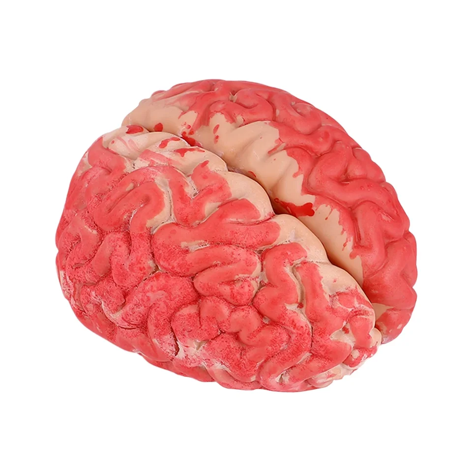 1PC Halloween propytcy strašidelný falošný organ ľudský mozgový telesný častí pre príslušenstvo Halloween Party (tmavo červená)