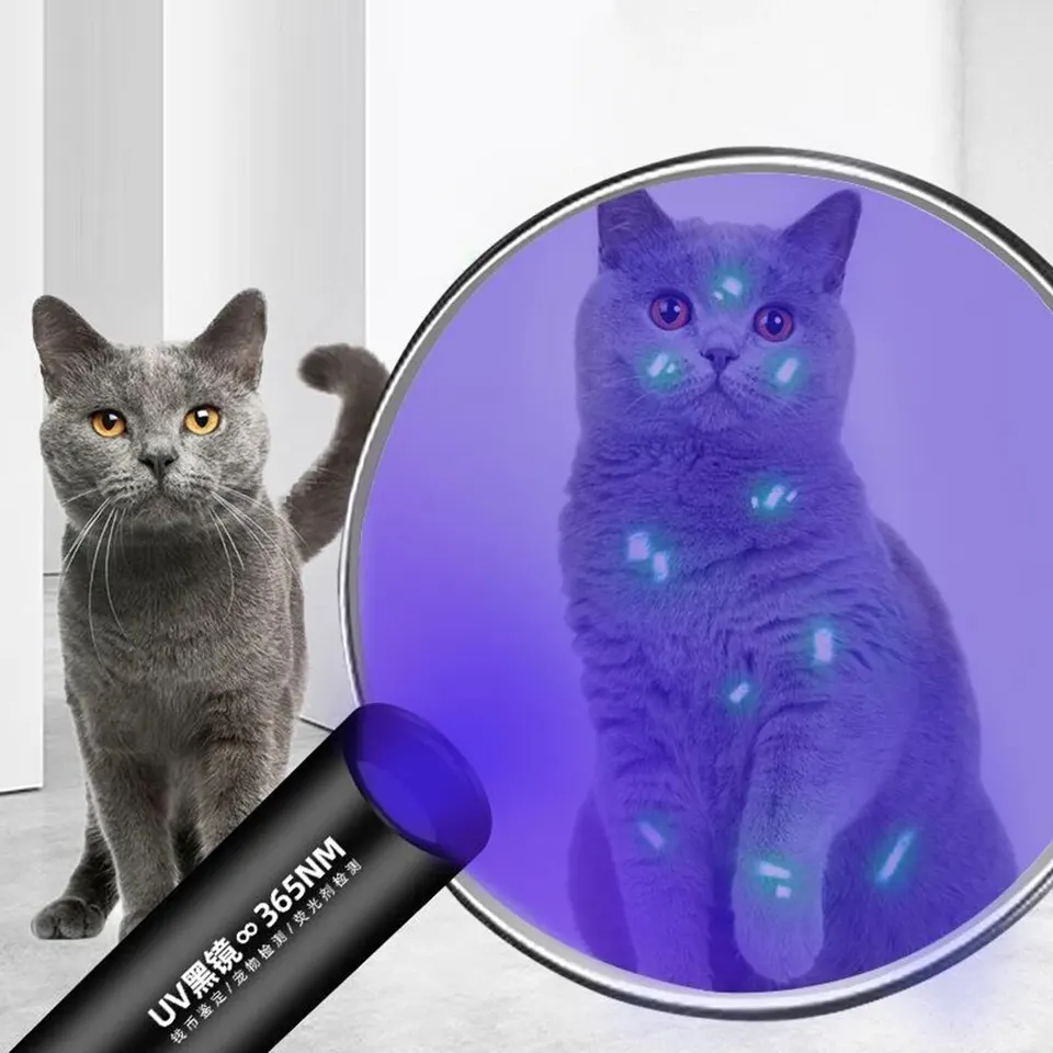 1pc mach mach detekcia Svetlo Čierne zrkadlo UV žiarivky Fluorescenčné svetlo Pet Huby detekcia veterinárne profesionálne vybavenie