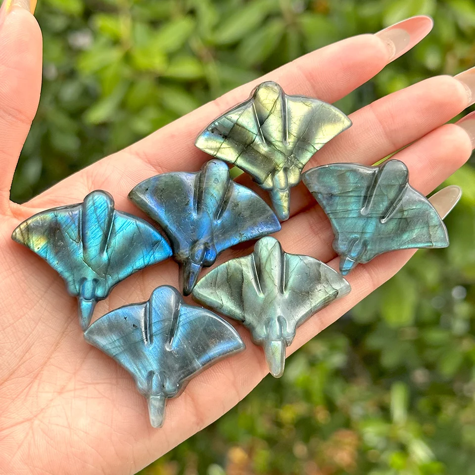 1PC Natural labradorite manta Ray Ray Rainbow, Minerálna zberateľská exemplárka Kovová ozdoba, malá ozdoba dekor