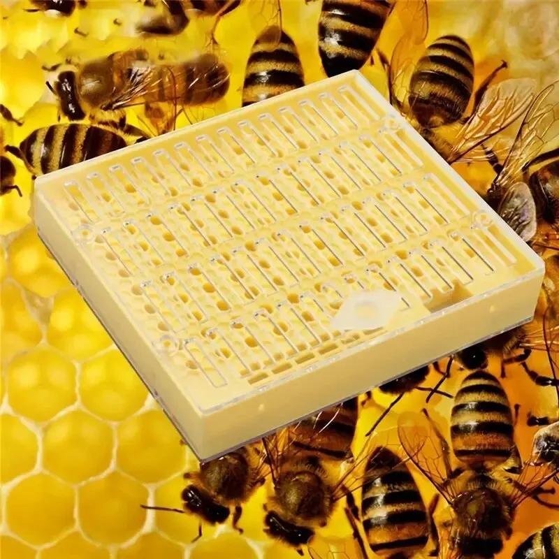 1pc Queen Choving Box Bee Inkubátor včelársky náradie plastový včelí inkubátor Free Move Moveing ​​Box Queen Choving Box Klietka