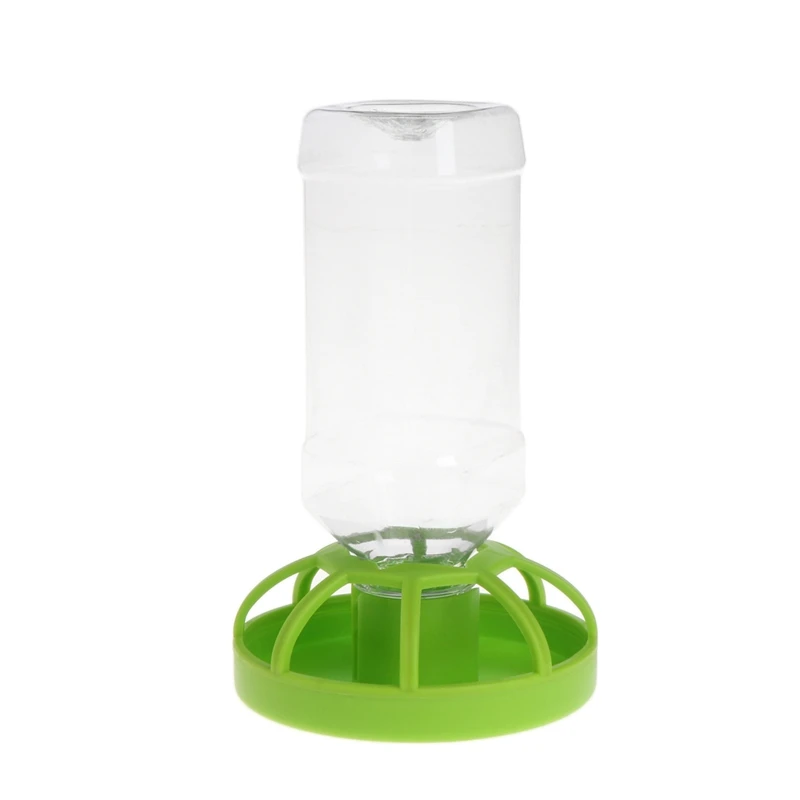2-v-1 plazy Feeder Bowl & Dirrder Bowl Platy Food Misk for Gecko Snakes Chameleon Iguanas korytnačky Brids Drop Shipping