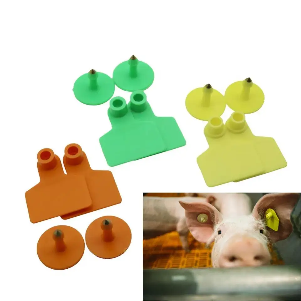 20/200 ks Pig Cattle Cattle Sheep Ear Tags bez slov TPU TPU TPU 5 Color Farm Farm Animal Identification Ear Tags