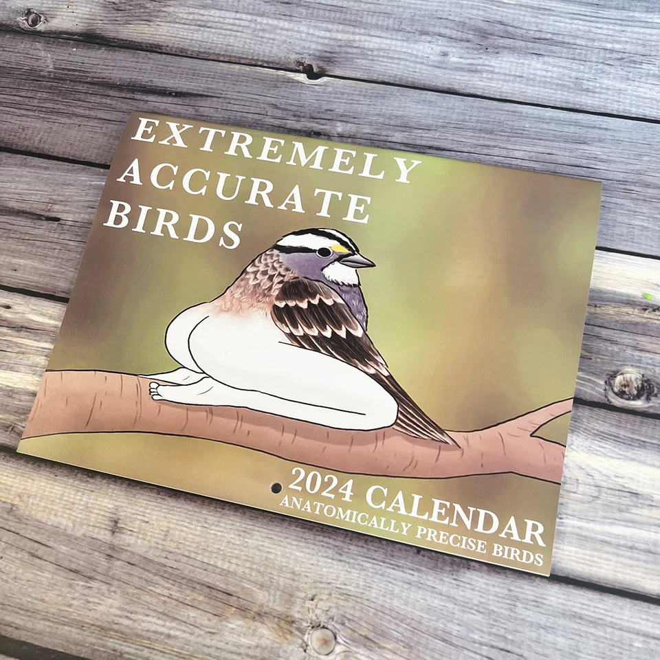 2024 Mimoriadne presné vtáky Funny Bird Desk Calendar, personalizovaný kreatívny abstraktný novoročný kalendár