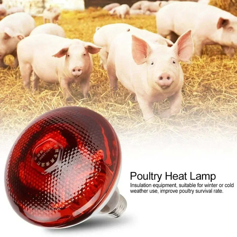 220V Infračervená erbová žiarovka Lampa 100/150/12/275 W pre obojživelníky plazov hydinové domáce zvieratá hospodárske zvieratá E27 Kuracie kačacie farmy