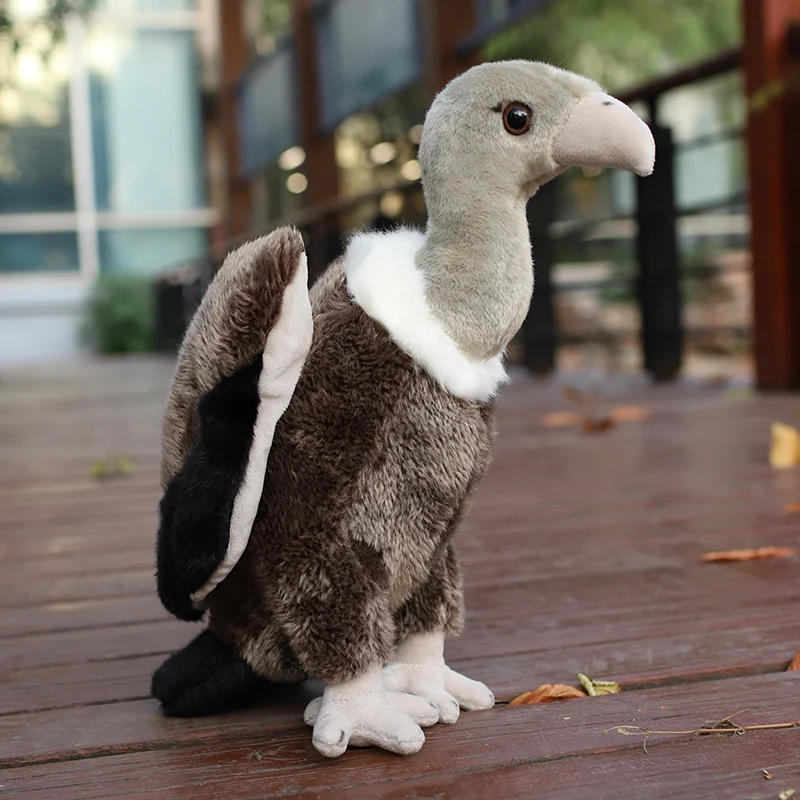 25/35/45 cm Simulované vtáčie plyšové hračky Lively Pelican Vulture Eagle Eagle Fľdate divoké zvieratá Dolu Cute Home Ornament Darček