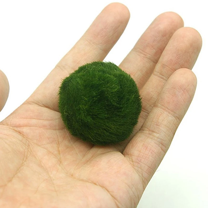 3-4 cm Marimo Moss Balls Live Aquarium Plant Riasy Ryby ryby Krevety Tank Ozdob simulácia Zelené riasy gule Umelá rastlina