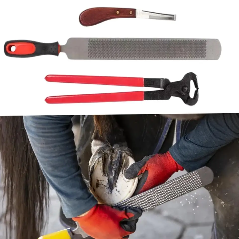 3 -kusy koňské kopyto orezávanie podkovových klieští NIPPER Farrier Nástroje pre kone, kravy, ovce, jazdecké zásoby koňa Hoof