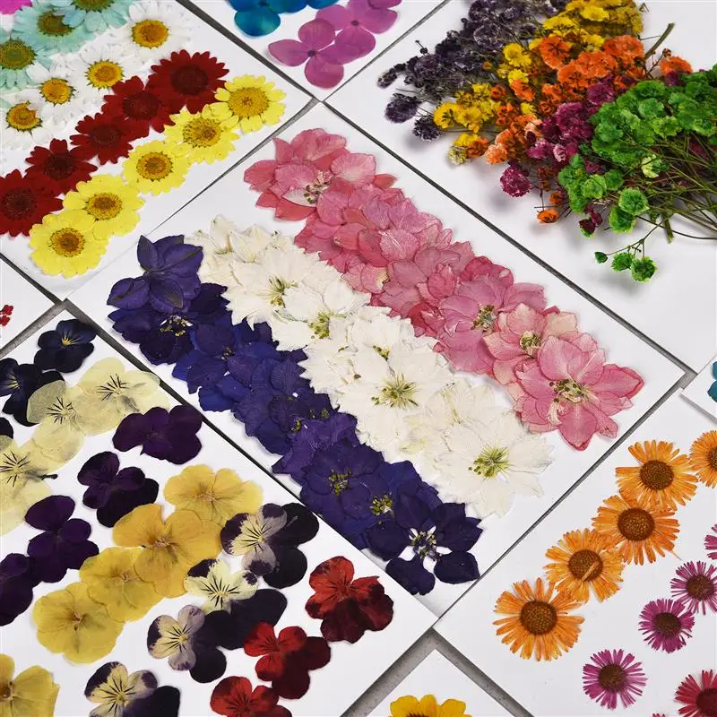 30 ks Prírodné skutočné sušené lisované kvety pre umelecké remeselníky DIY Epoxidová živica prívesok SOAP CRESS CRESS CARTY