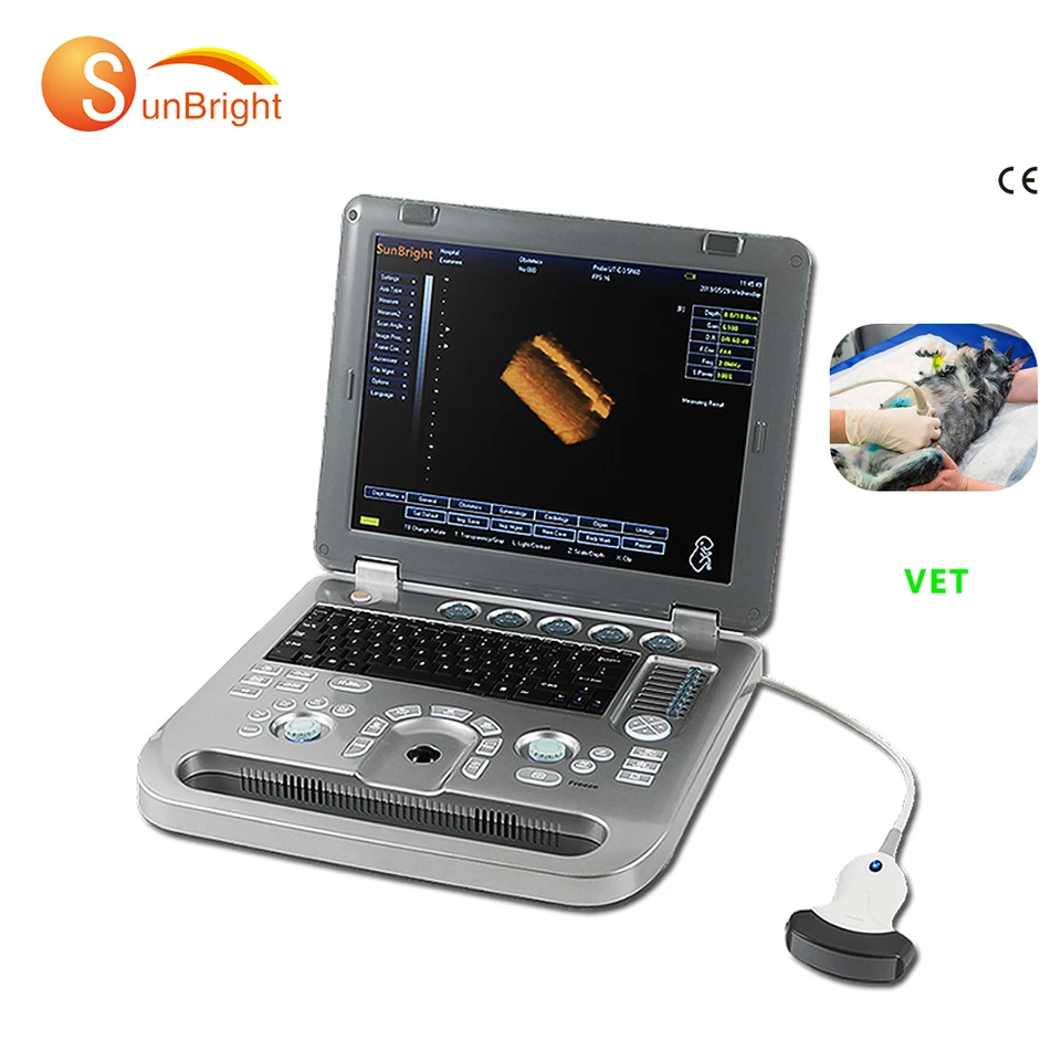 3D 4D VET Ultra Sound 15 