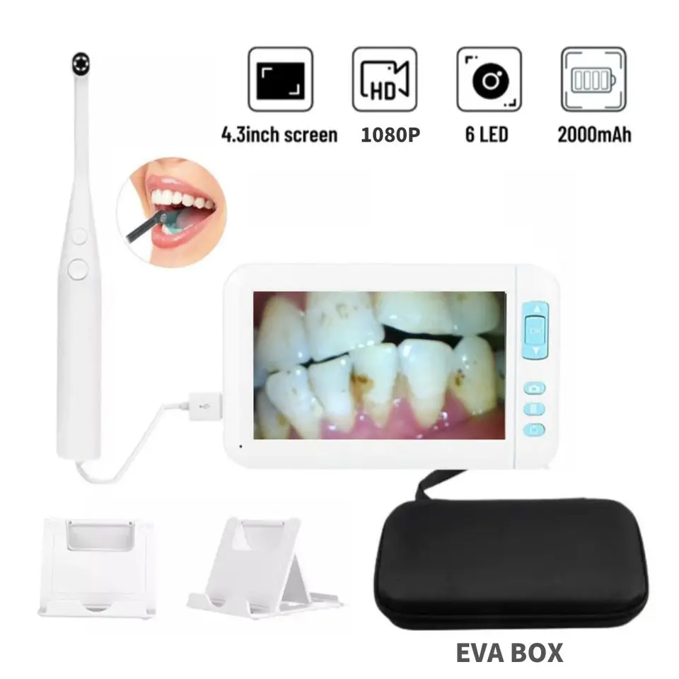 4,3 palca HD 1080p Screen Home Care Použitie Inšpekcia Endoskop Camera Exam 、 Detektor vlasov so 6LED svetlami kontrolovacami domácich miláčikov