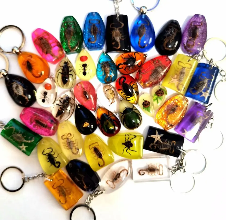 40 počítačov Fashion Real Scorpion Ant Star Fish Mixe Style Keychain