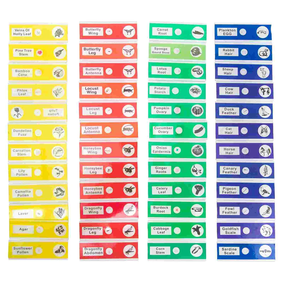 48 PCS biologická vzorka plátok pripravená mikroskop Slides Microscic Glass Collection Hmyz vzorka