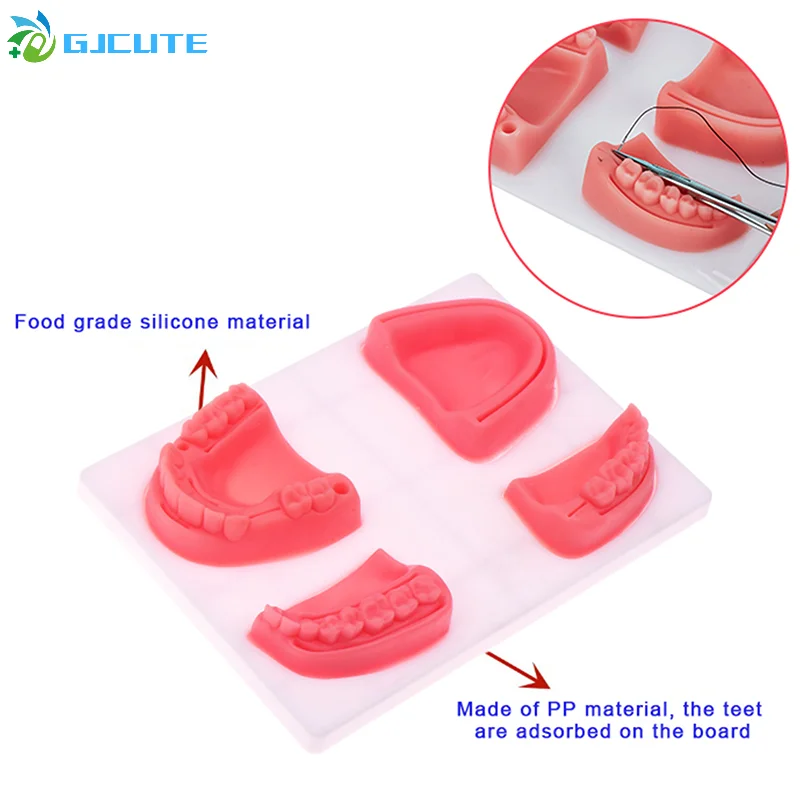 4pcs/set zubná simulácia orálne stehový model gum stehu výučba výcvikového zariadenia simulácia zubného modelu zubný model