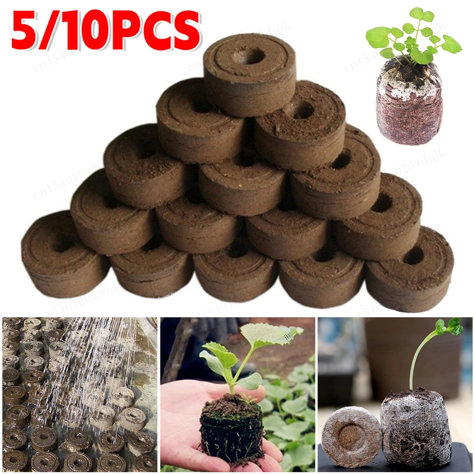 5/10 PCS vychovávať sadenicu Pôdny blok klíčenia semien Základný materiál Kokosový otruba Colnazdovky Cuttage a rezanie sadení