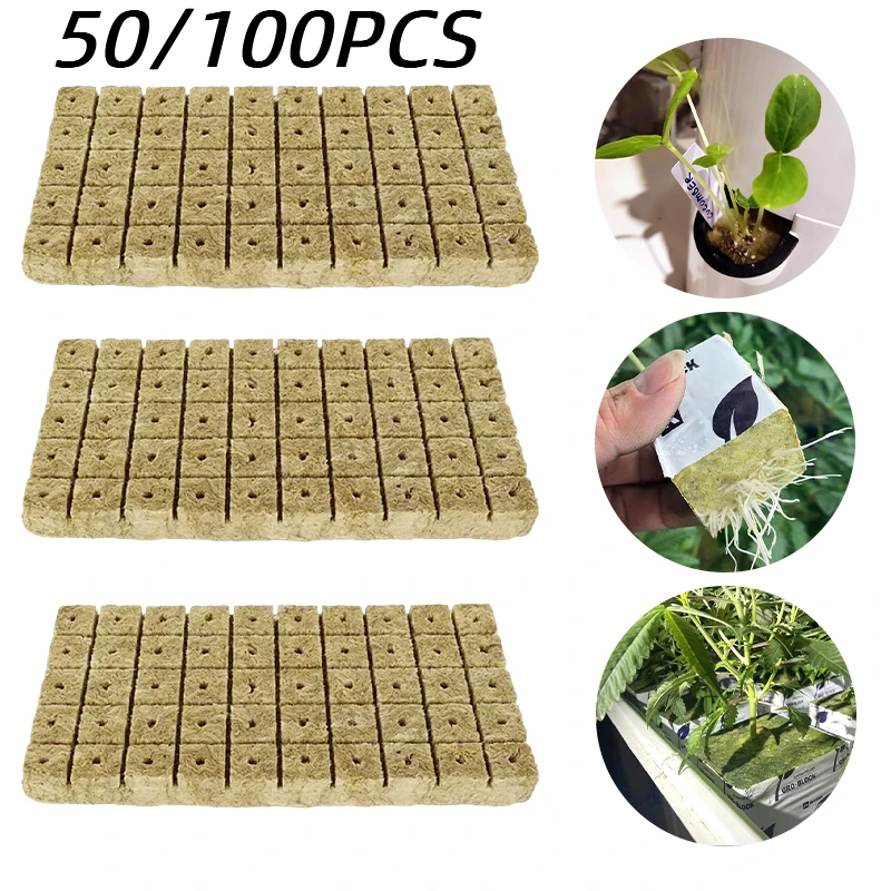 50/16ks výsadba špongie Rock Seedling Block Zákroky Hydroponické pestovanie Cubes Cubes Greenhouse Garden Supplies Veľkoobchod