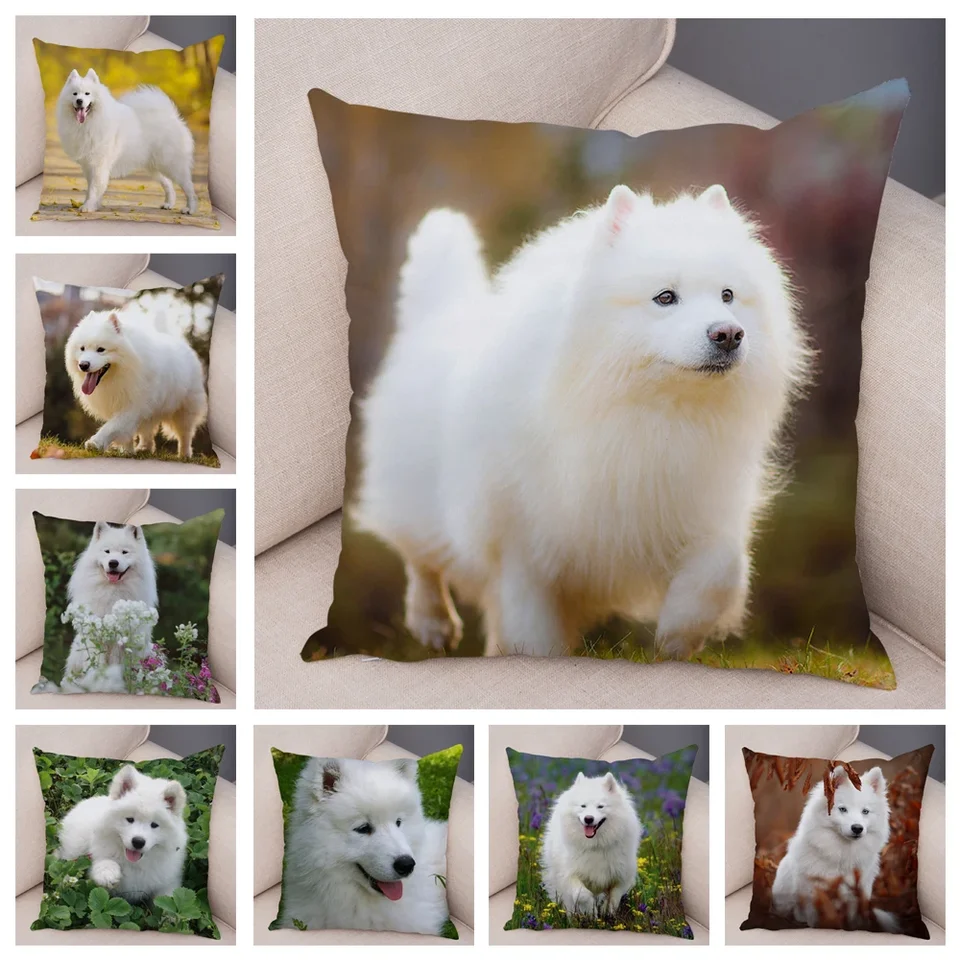 50 Štýl roztomilý biely pes Samoyed Cushion Cover Decor Decor Lovely Pet Animal Vanklow puzdro mäkký plyšový vankúš pre detskú miestnosť na pohovku