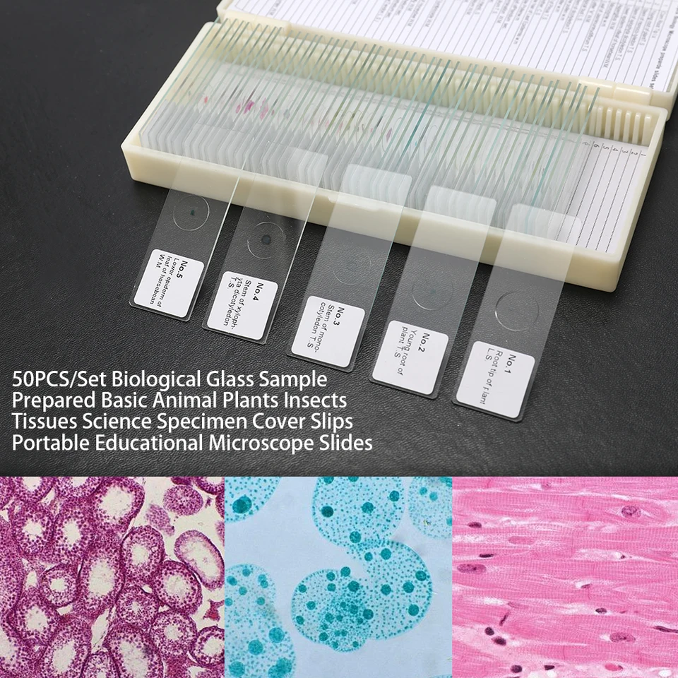 50ks Biologické sklo Vzorka pripravená základné zvieracie rastliny Hmyz Tissues Science Cover Slips Slips Microscope Slides