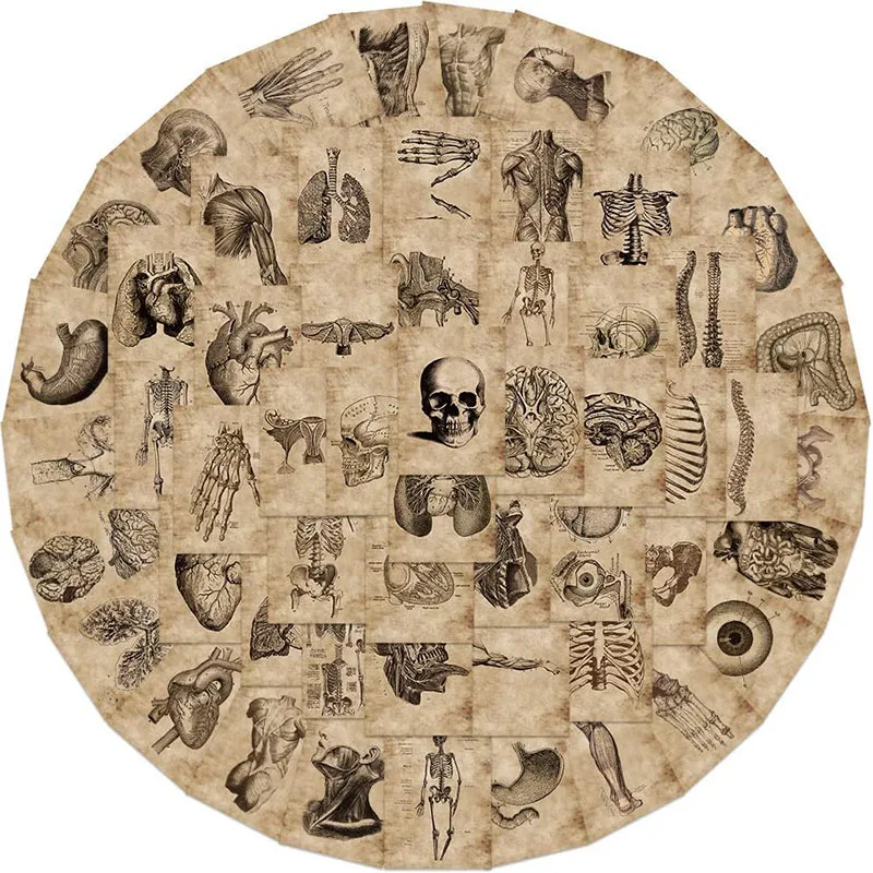 56ks skeleton nálepky Halloween dekorácia Vinylové vodotesné nálepky pre zošita Junk Journal Scrapbooking Supplies