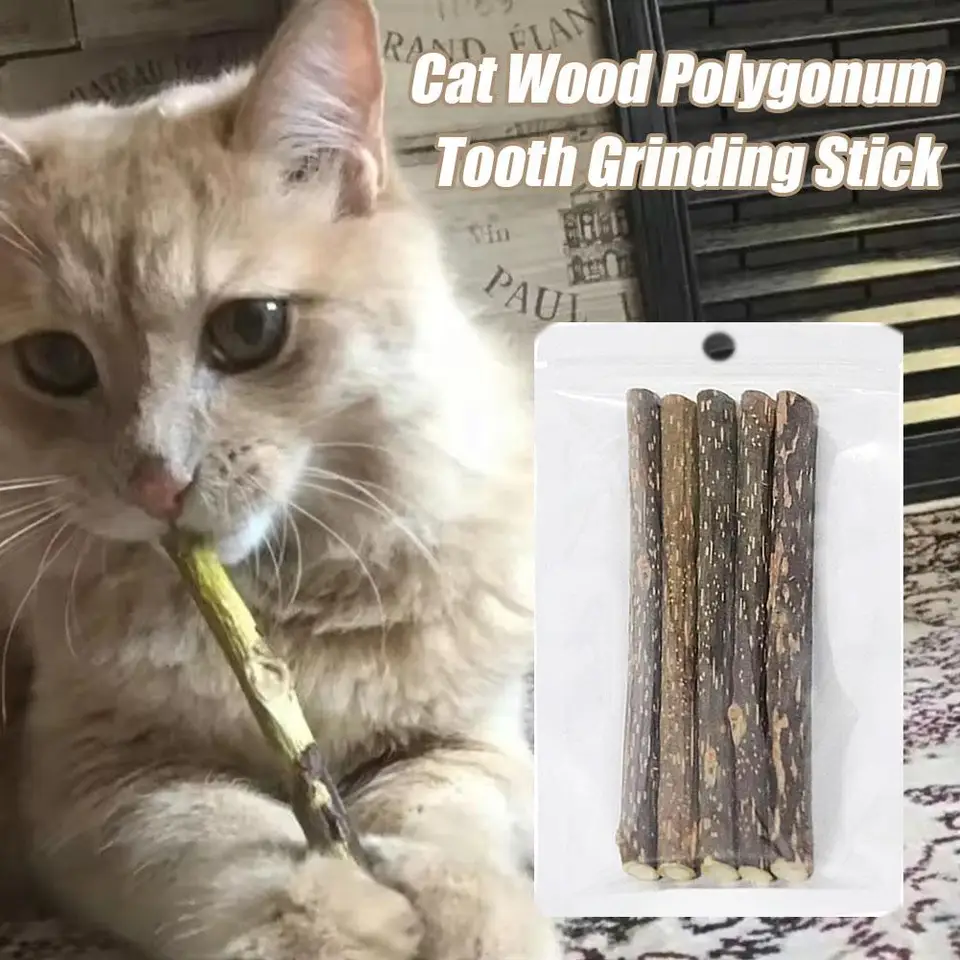 5PC Catnip Stick Pet Cat Molar Molar Všetky prírodné samoliečovacie drevené hračky Doplnkové čistenie zmierňuje občerstvenie polygonum žuvacie