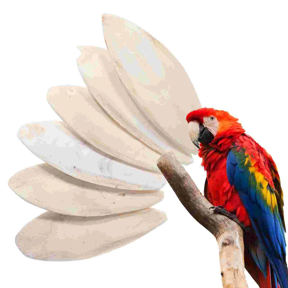 6 ks Cuddle Bone Parrots Chew Hračky Cuttlebone Parlakeet pre klietky Pet zaobchádza s vtákmi.