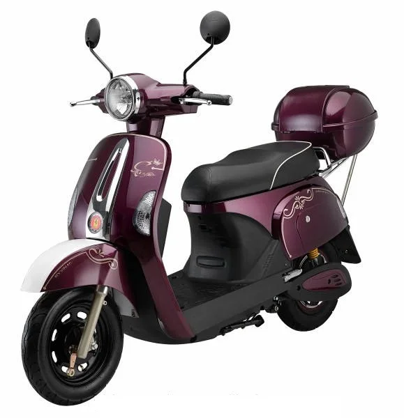 60V20AH ELEKTRICKÝ SKÚSENIE 1000W Elektrický motocykel s pedálmi Two Wheels Electric Bicycle