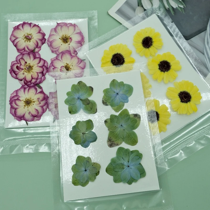 6ks/taška, slnečnica naliehaná slnečnicou, kvetinový materiál Chrysanthemum, DIY skutočný kvetinový fotorám