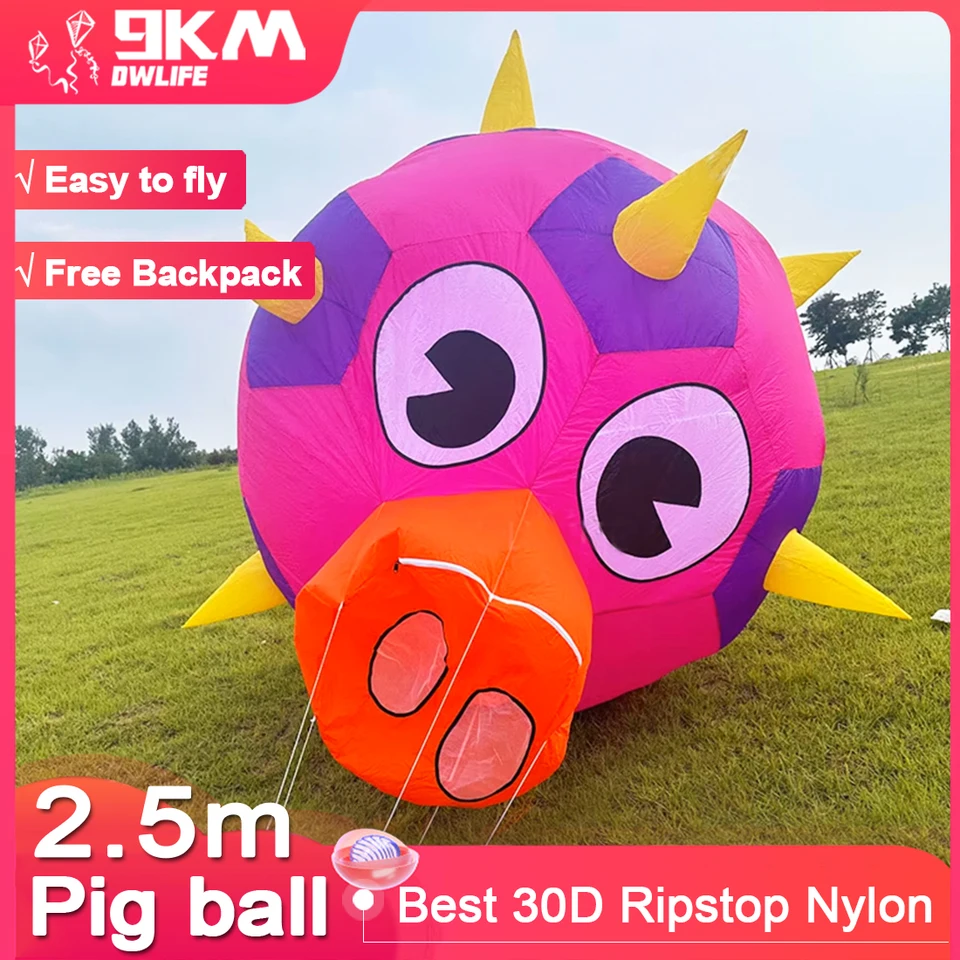 9 km 2,5 m ošípaných drakov Line Line Práčovňa Kite Soft Show nafukovací show draka Pendant 30D Ripstop Nylon s taškou pre draka Festivalu