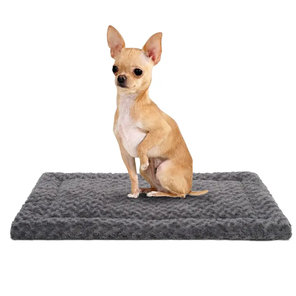 Amazon Autumn a Winter Thin Dog Mat Všetky sezóny