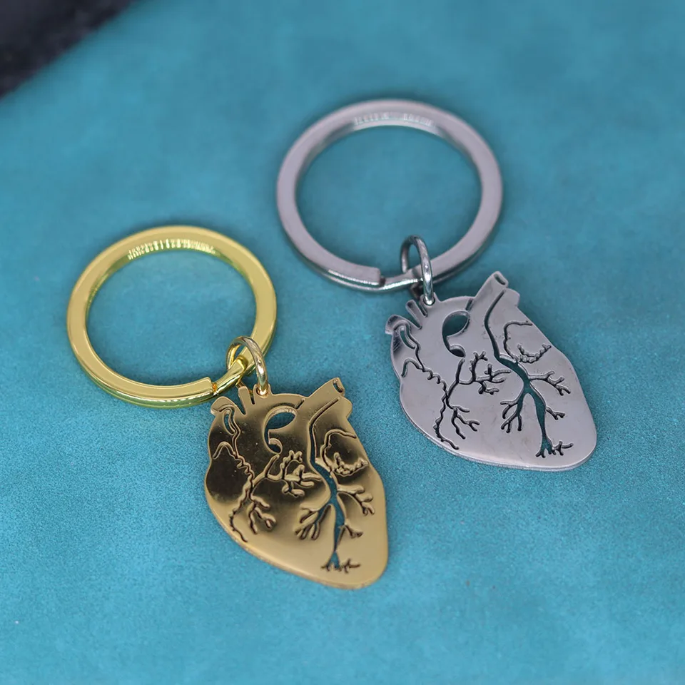 Anatomické srdiečko Prívesok Keychain pre mužov Ženy Zlatá z nehrdzavejúcej ocele Biológia Kľúčové reťazce Darček Darček