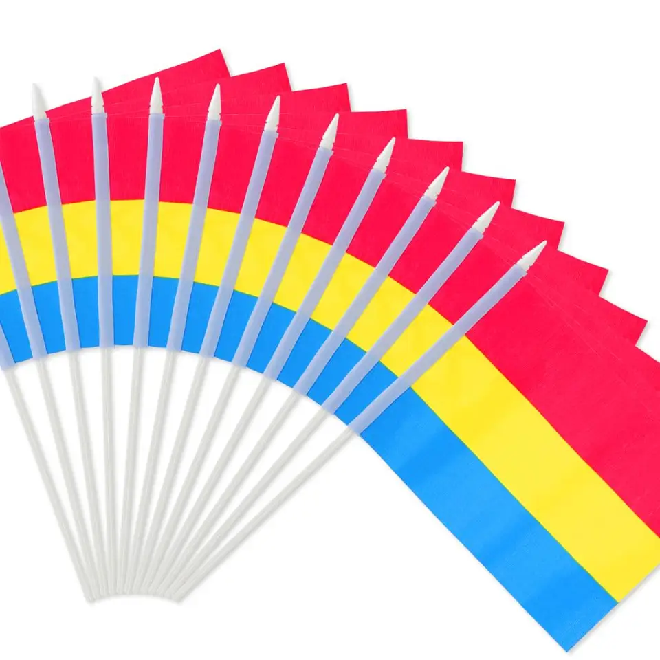 Anley Pansexual Pride Stick Flag, 5x8 palcov ručnú vlajku tyčinky - 5 x 8 palcov ručne držané mini vlajky (1 desiatky)