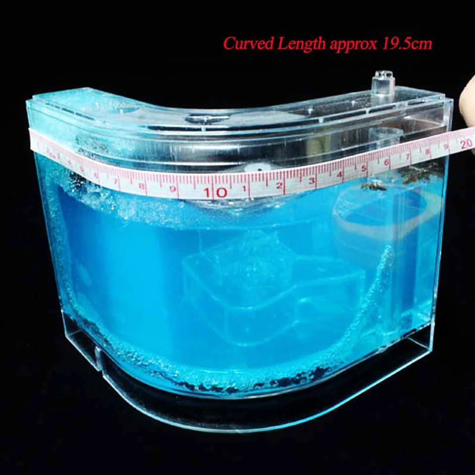 Ant Farm Experiment Experiment Hračky House Science Vzdelávacia hračka na štúdium sociálnej štruktúry